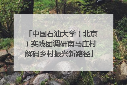 中国石油大学（北京）实践团调研南马庄村解码乡村振兴新路径