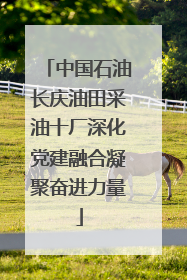 中国石油长庆油田采油十厂深化党建融合凝聚奋进力量