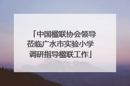 中国楹联协会领导莅临广水市实验小学调研指导楹联工作