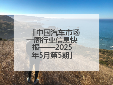 中国汽车市场一周行业信息快报——2025年5月第5期