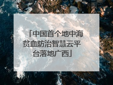 中国首个地中海贫血防治智慧云平台落地广西