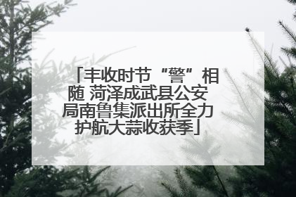 丰收时节“警”相随 菏泽成武县公安局南鲁集派出所全力护航大蒜收获季