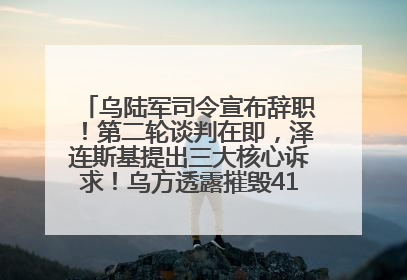 乌陆军司令宣布辞职！第二轮谈判在即，泽连斯基提出三大核心诉求！乌方透露摧毁41架俄战略轰炸机