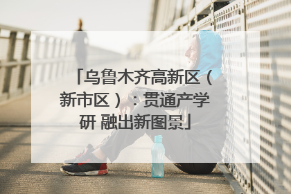 乌鲁木齐高新区（新市区）：贯通产学研 融出新图景
