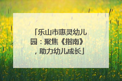 乐山市惠灵幼儿园：聚焦《指南》，助力幼儿成长