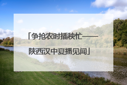 争抢农时插秧忙——陕西汉中夏播见闻
