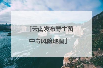 云南发布野生菌中毒风险地图