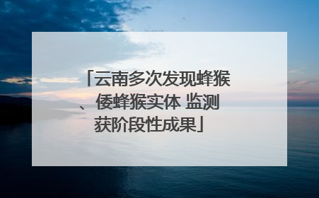 云南多次发现蜂猴、倭蜂猴实体 监测获阶段性成果