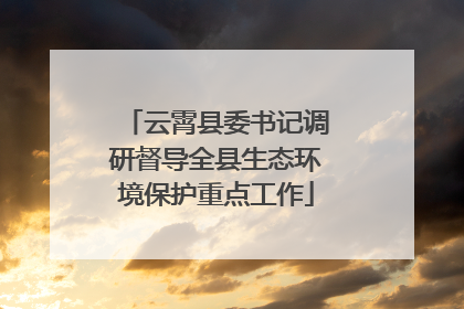 云霄县委书记调研督导全县生态环境保护重点工作
