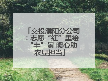 交投濮阳分公司：志愿“红”里绘“丰”景 暖心助农显担当