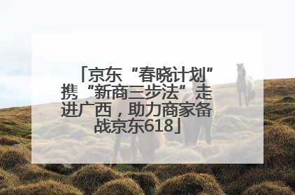 京东“春晓计划”携“新商三步法”走进广西，助力商家备战京东618