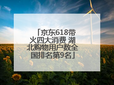 京东618带火四大消费 湖北购物用户数全国排名第9名