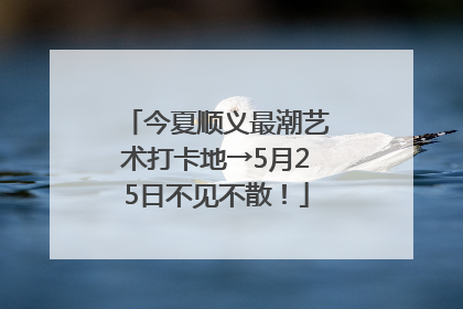 今夏顺义最潮艺术打卡地→5月25日不见不散！