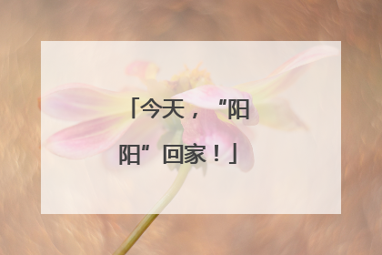 今天，“阳阳”回家！