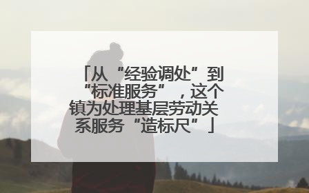 从“经验调处”到“标准服务”，这个镇为处理基层劳动关系服务“造标尺”