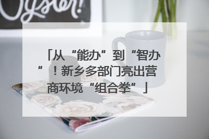 从“能办”到“智办”！新乡多部门亮出营商环境“组合拳”