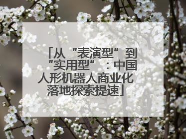 从“表演型”到“实用型”：中国人形机器人商业化落地探索提速