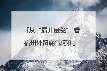 从“质升量稳” 看宿州外贸底气何在