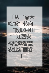 从“靠天吃饭”转向“数据种田” 江西安福绘就智慧农业新画卷