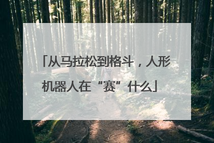 从马拉松到格斗，人形机器人在“赛”什么