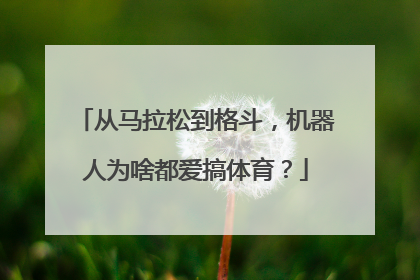 从马拉松到格斗，机器人为啥都爱搞体育？