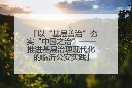 以“基层善治”夯实“中国之治”——推进基层治理现代化的临沂公安实践