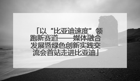 以“比亚迪速度”领跑新赛道——媒体融合发展暨绿色创新实践交流会首站走进比亚迪