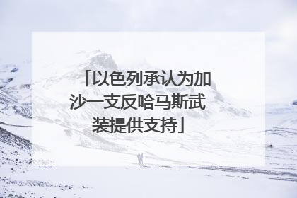 以色列承认为加沙一支反哈马斯武装提供支持