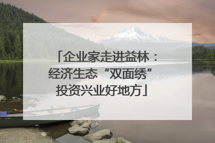 企业家走进益林：经济生态“双面绣” 投资兴业好地方
