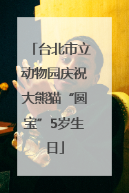 台北市立动物园庆祝大熊猫“圆宝”5岁生日