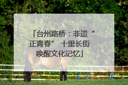 台州路桥：非遗“正青春” 十里长街唤醒文化记忆