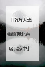 南方大蟑螂惊现北京居民家中