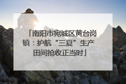 南阳市宛城区黄台岗镇：护航“三夏”生产 田间抢收正当时