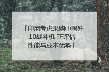 印尼考虑采购中国歼-10战斗机 正评估性能与成本优势