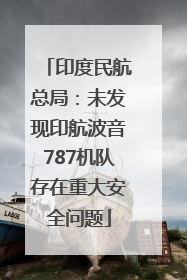 印度民航总局：未发现印航波音787机队存在重大安全问题