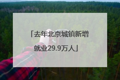 去年北京城镇新增就业29.9万人