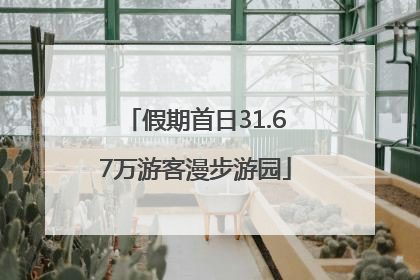 假期首日31.67万游客漫步游园