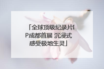 全球顶级纪录片IP成都首展 沉浸式感受极地生灵