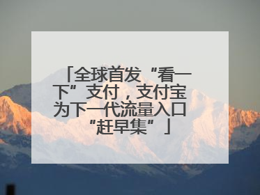 全球首发“看一下”支付，支付宝为下一代流量入口“赶早集”