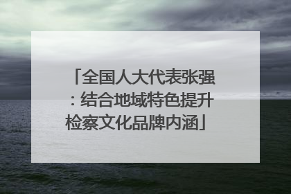 全国人大代表张强：结合地域特色提升检察文化品牌内涵