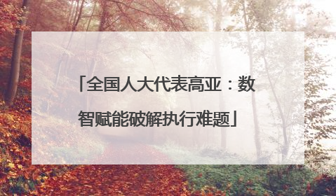 全国人大代表高亚：数智赋能破解执行难题