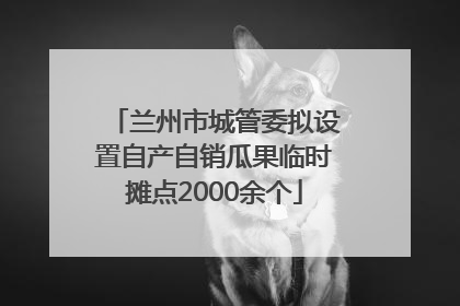 兰州市城管委拟设置自产自销瓜果临时摊点2000余个