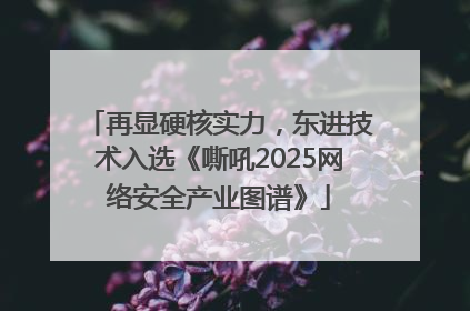再显硬核实力，东进技术入选《嘶吼2025网络安全产业图谱》