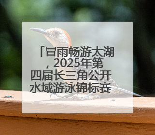 冒雨畅游太湖，2025年第四届长三角公开水域游泳锦标赛落幕