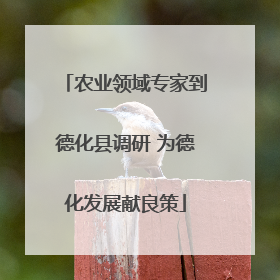 农业领域专家到德化县调研 为德化发展献良策