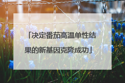 决定番茄高温单性结果的新基因克隆成功