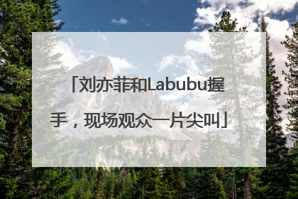 刘亦菲和Labubu握手，现场观众一片尖叫