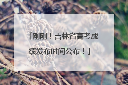 刚刚！吉林省高考成绩发布时间公布！