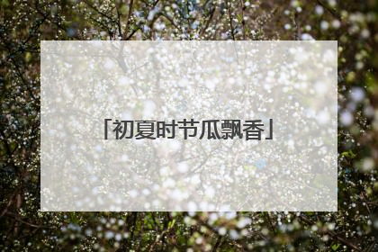 初夏时节瓜飘香