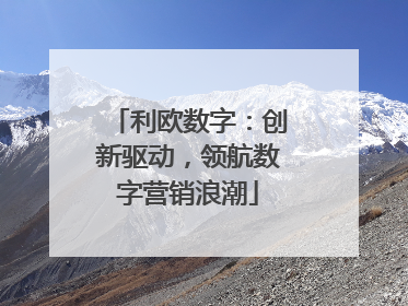 利欧数字：创新驱动，领航数字营销浪潮